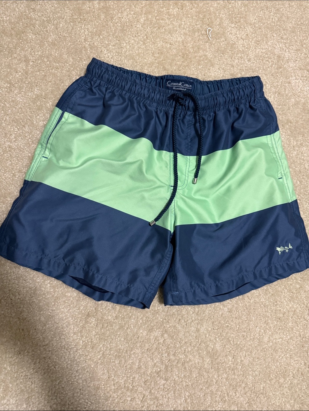 Coastal Cotton Navy & Mint Chevron Swim Trunks